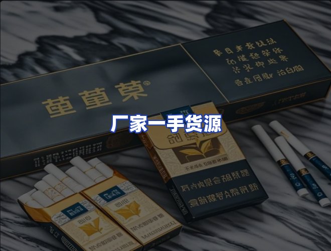 专业团队